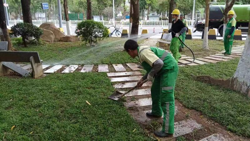 道路绿化工程招标资质条件全解析