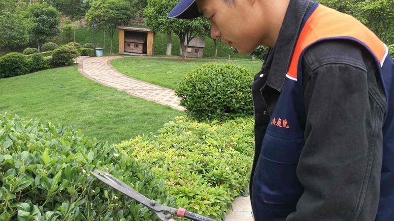 小型工厂绿化养护，报价里藏着多少隐形账