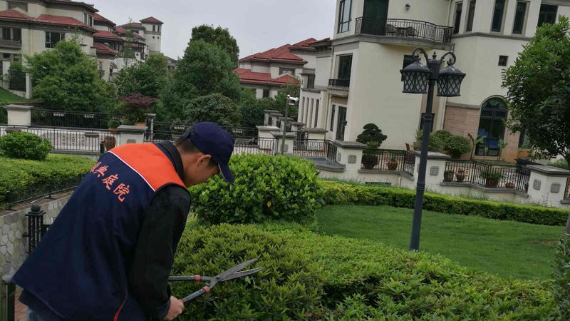 广州绿植租赁定制方案：如何打造绿色生态景观**