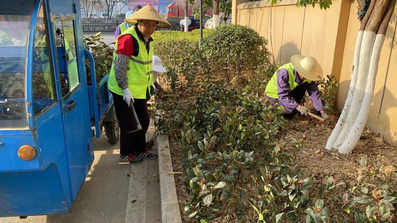 广州草坪养护与修剪：看似相近实则不同的两件事