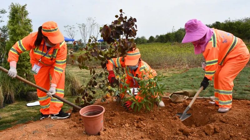 北京立体绿化从图纸到落地要过几道关