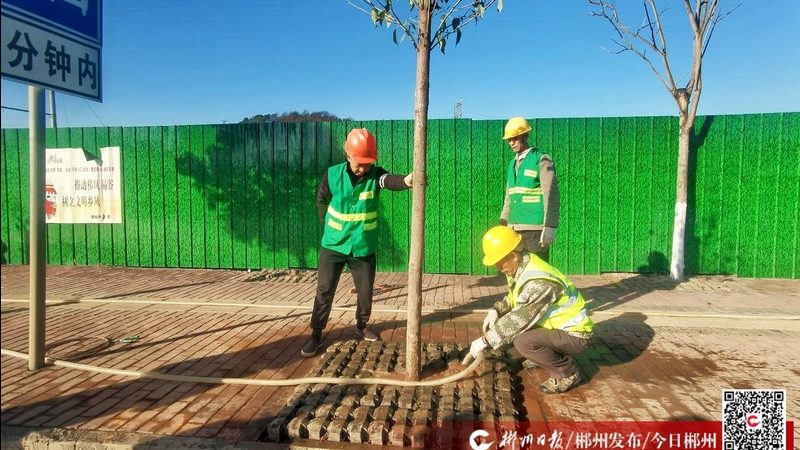 绿植租摆的配色法则：让空间高级感翻倍
