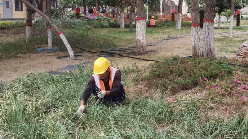 上海边坡绿化设计方案：因地制宜，打造生态景观**