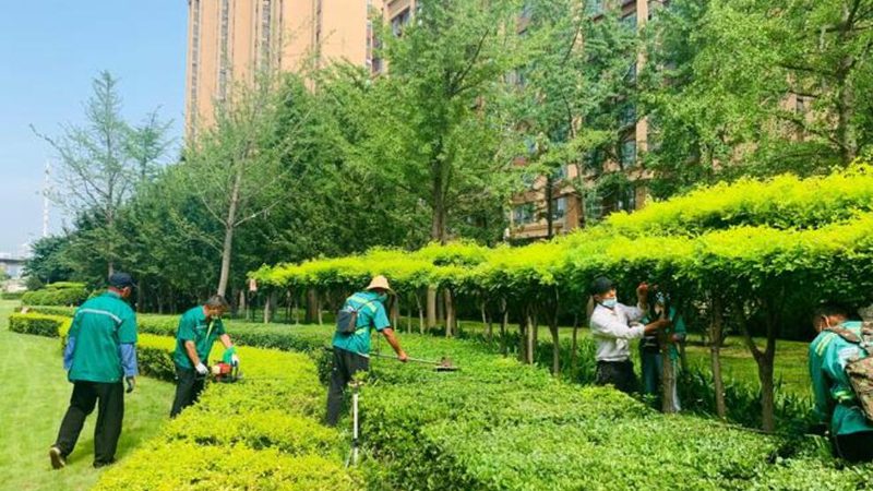 围墙选材前，先想清楚这三点